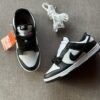 Nike Sb Dunk